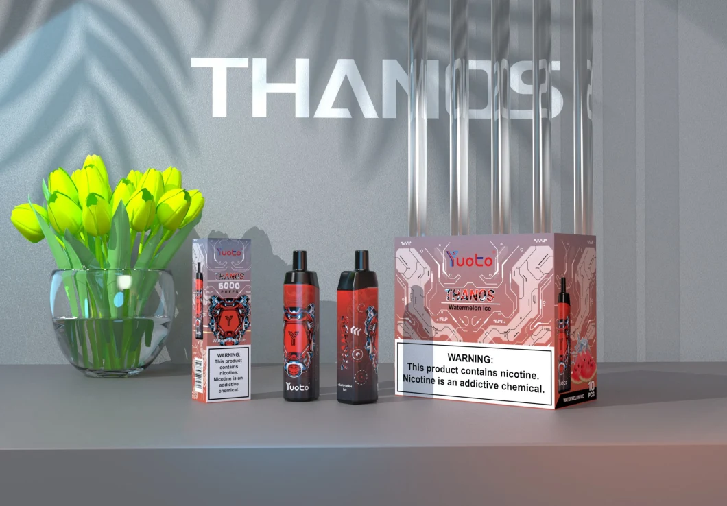 卸し売りYuoto Thanos 5000は速い船積み網のコイルの標準的なアメリカ イギリス スペインの使い捨て可能なVape 14ml E液体650mAh電池20の熱い味の吹く